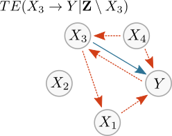 Example network mTE estimation